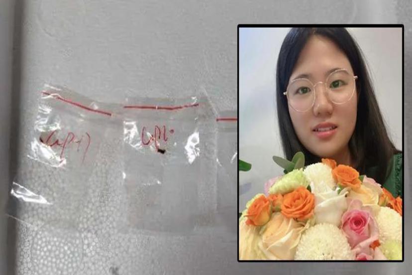 'Tarımsal terörizm silahı' ABD'ye tarım ürünlerini öldüren mantar sokmaya çalıştılar!