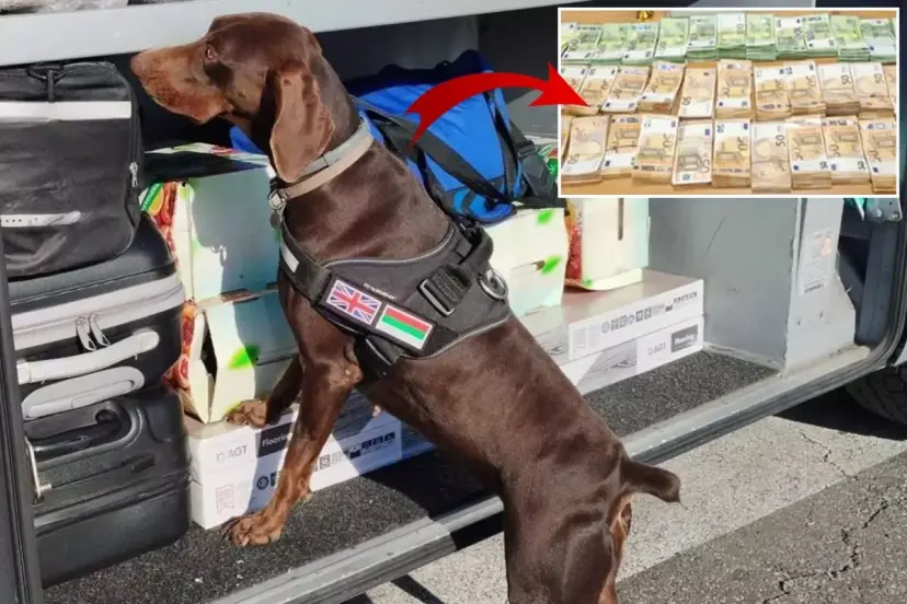 Tıra gizlenen 15 milyon lira dedektör köpekten kaçamadı