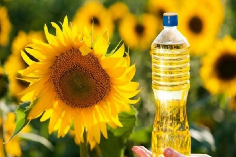 TMO'dan Ayçiçek Yağı Hamlesi!