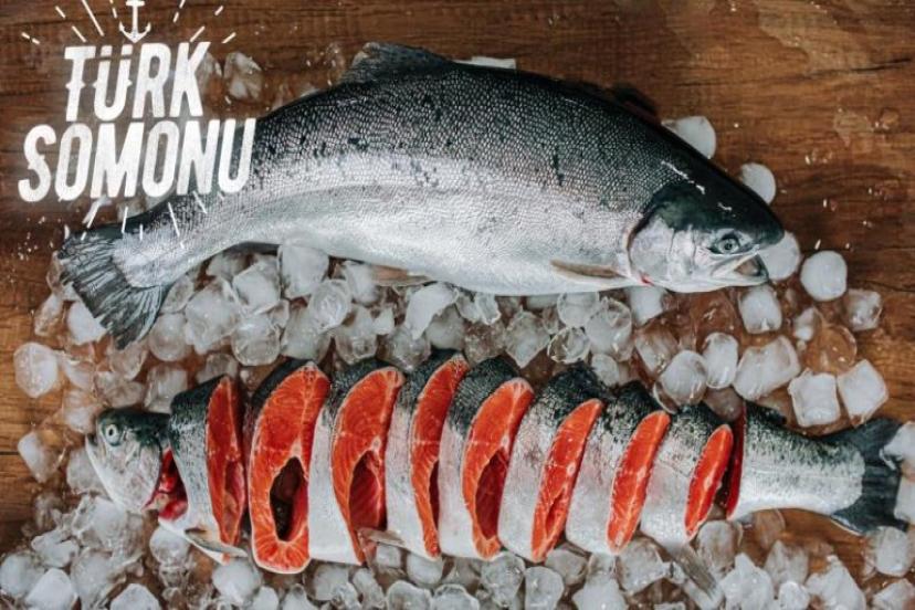 Türk somonu ihracatı 5 yılda 17 kat arttı