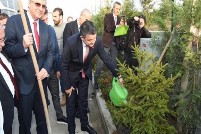 Türkiye Bir Rekor Daha Kıracak! Dünyada Yaşayan Her İnsan İçin Bir Fidan