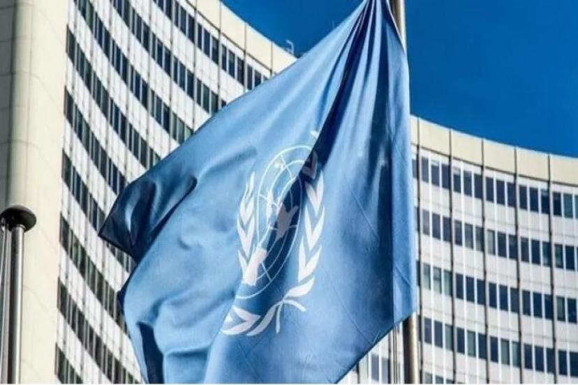 Türkiye dahil 50'den fazla ülkeden Hindistan'a 'Cammu Keşmir' çağrısı