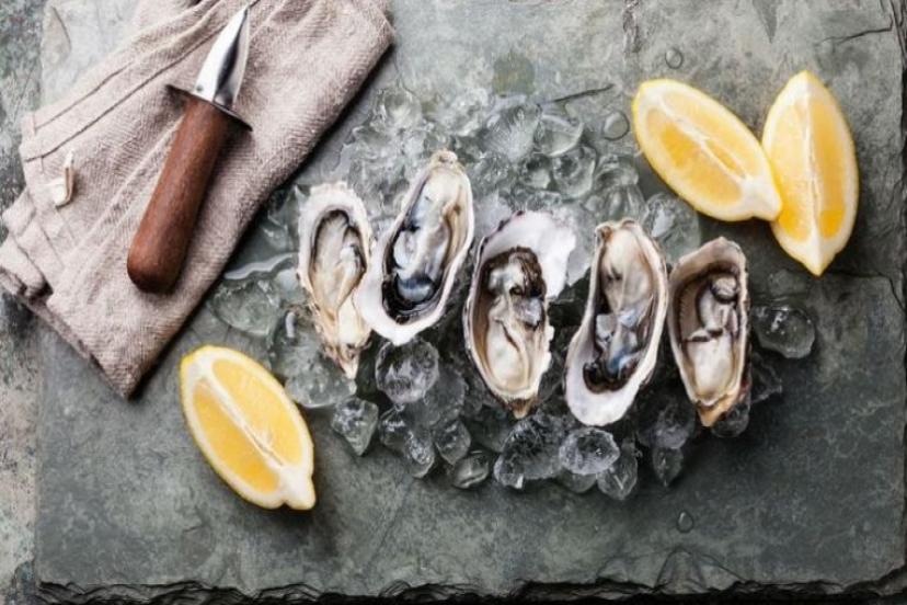 Türkiye'de İstiridye Üretim Çiftlikleri Kurulacak