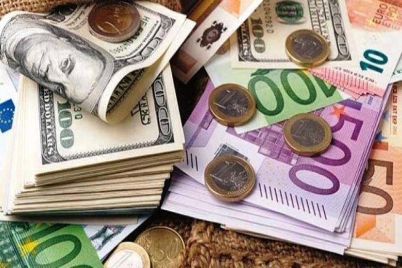 Türkiye'deki 81 ilin 48’inde vatandaşın döviz birikimleri TL'yi geçti