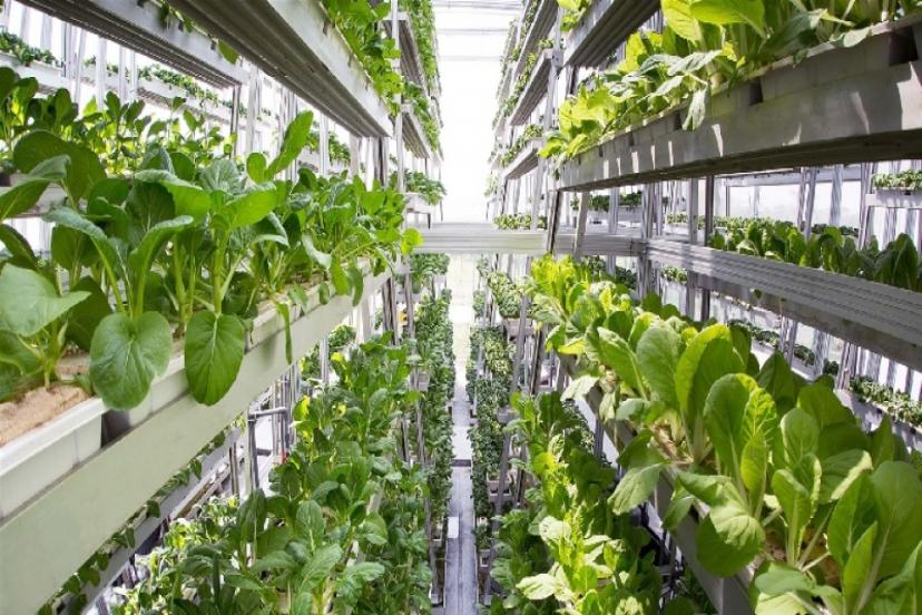 Türkiye'den tarımda yeni hazırlık!