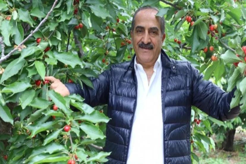 Türkiye kiraz ihracatından 300 milyon dolar döviz hedefliyor