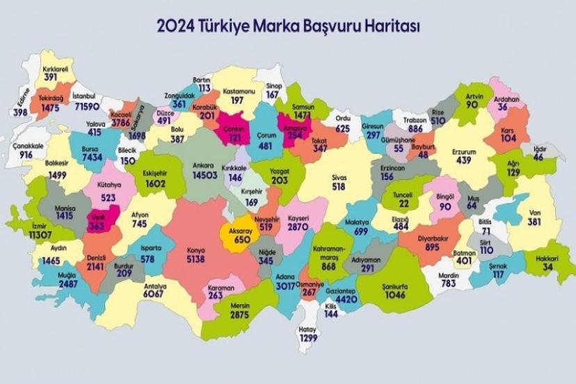 Türkiye’nin 2024 yılı yenilikçilik karnesi