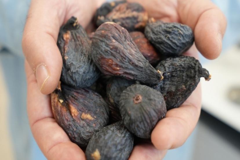 Türkiye'nin incirdeki yeni yıldızı