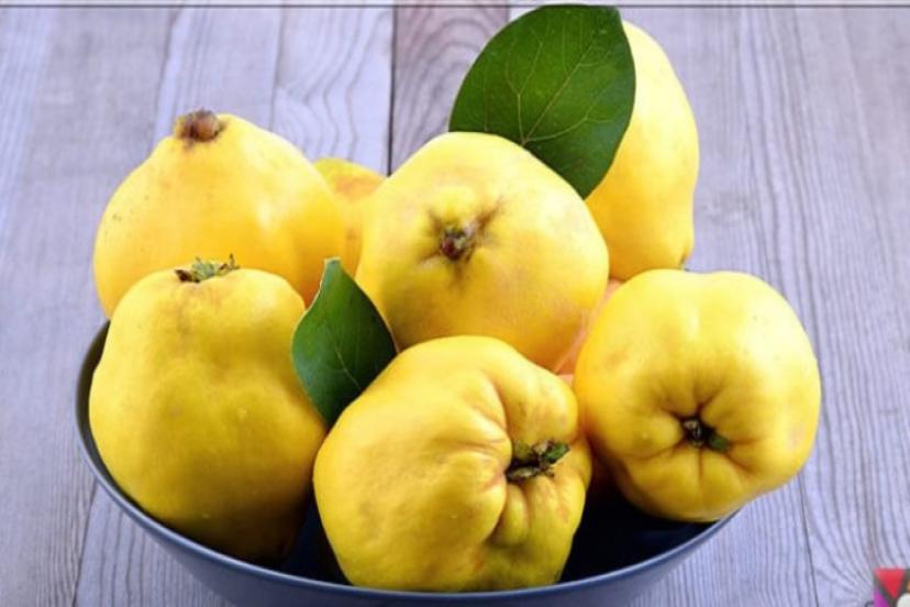 Türkiye üretim ve ihracatta dünyada lider oldu