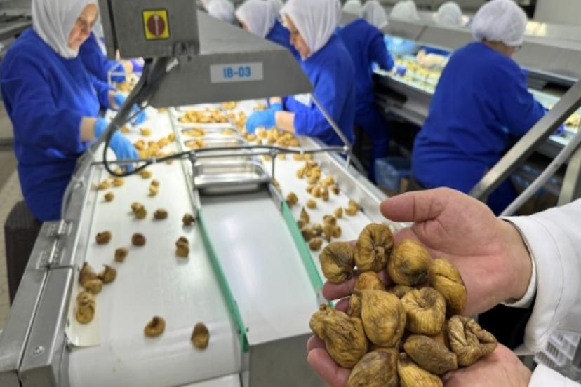 Türkiye organik ürün ihracatında 1 milyar dolar sınırını aştı