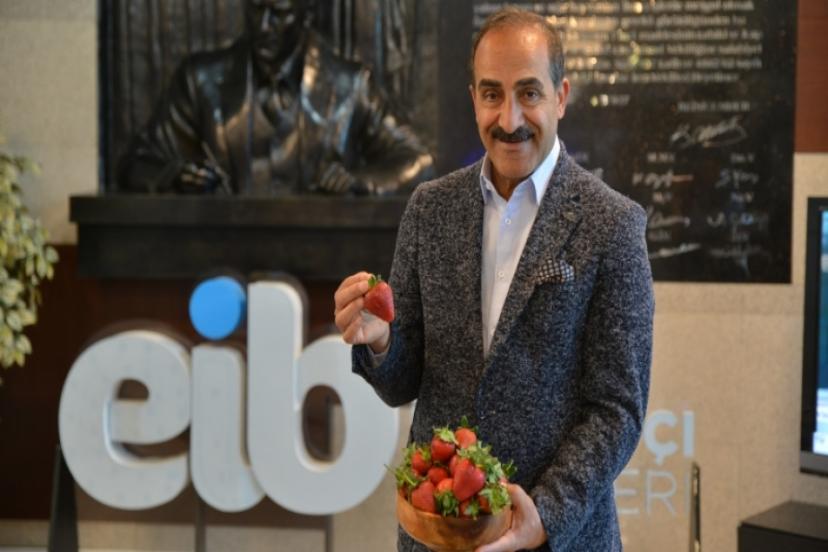 Türkiye Taze Meyve Sebzede Dünyanın En Büyük Üreticilerinden Oldu