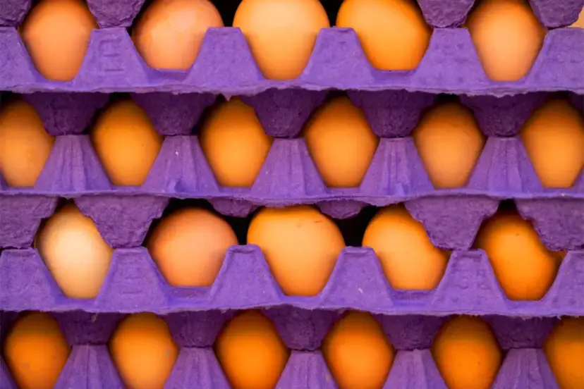 Türkiye'den Amerika'ya binlerce ton yumurta gönderildi