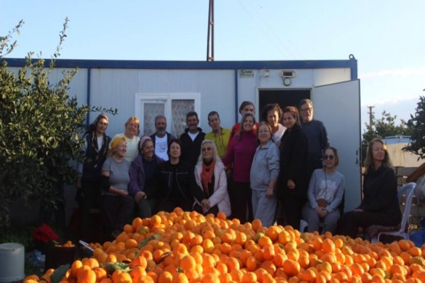 ‘Turuncu Dayanışma’yla Mandalina Dalında Çürümedi
