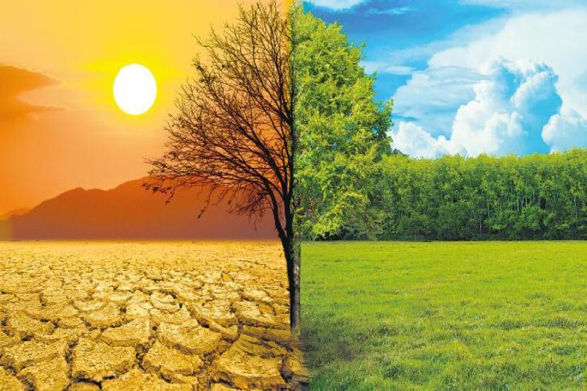 CHP Genel başkan Yardımcısı Akın: ‘Yeşil kalkınma hamlesini başlatmalıyız’