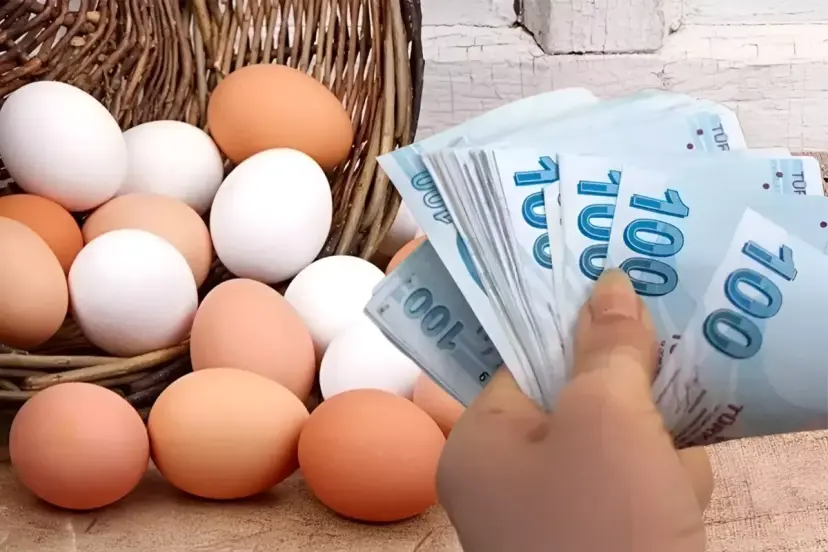 Yumurta fiyatı 9 ayda iki katına çıktı